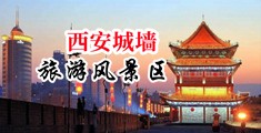 利用职权肏肿了美妇的小屄中国陕西-西安城墙旅游风景区