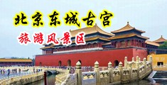 男人把鸡插入女人屁股里视频在线观看中国北京-东城古宫旅游风景区
